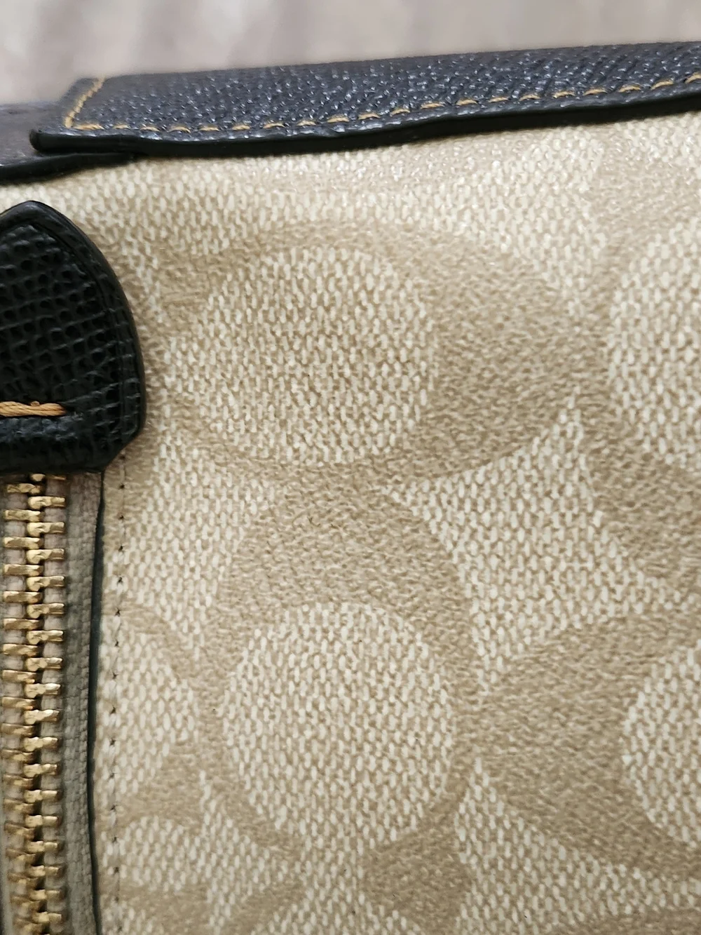 Coach Signature Print Beige & Black Mini Backpack